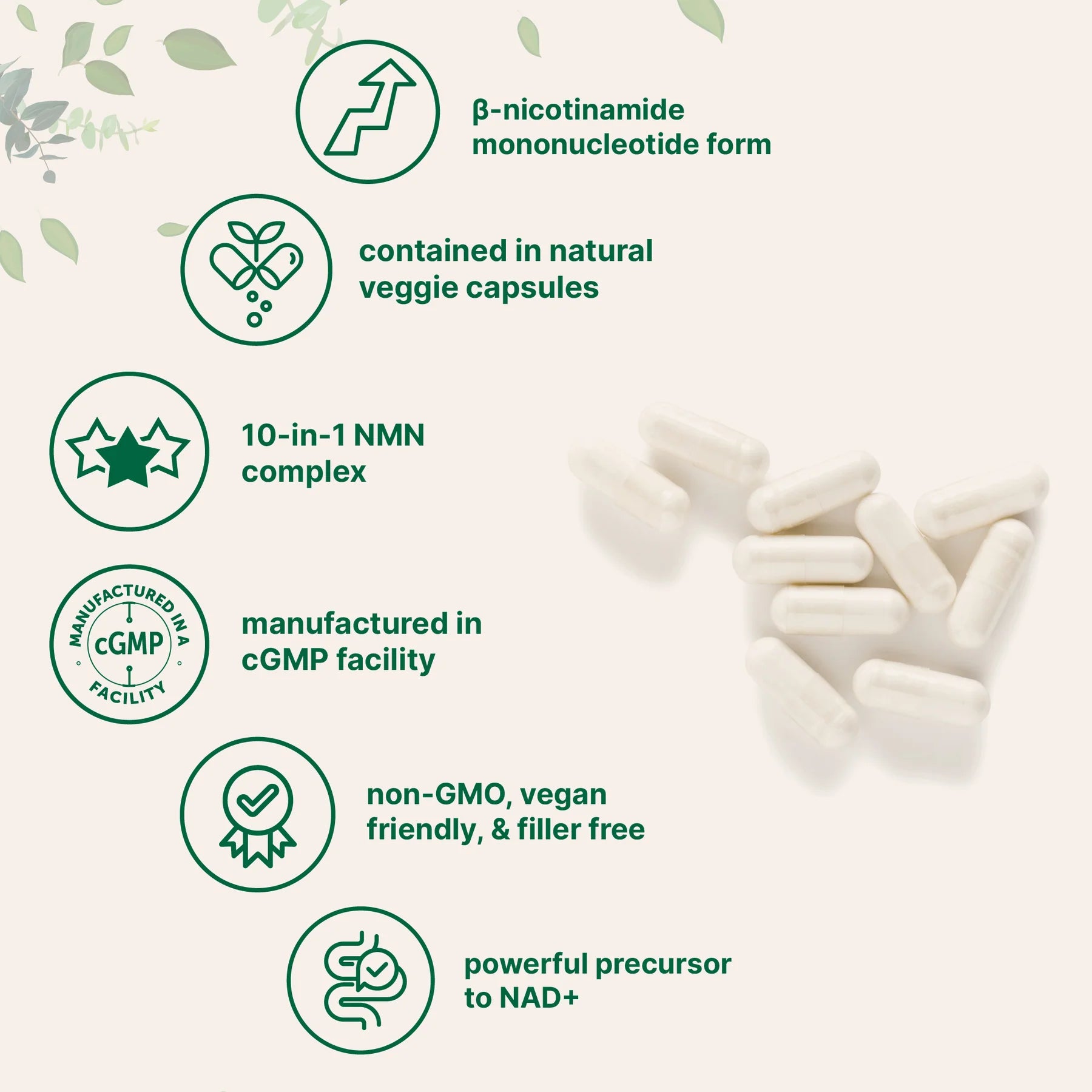 Micro Ingredients NMN Complex 1,000mg Per Serving, 120 Veggie Capsules